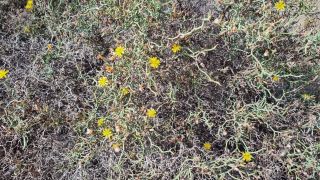 2023-GC--Mapalomas dunas-S123-262.jpg